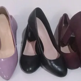 arassaja kowşler arzanjak