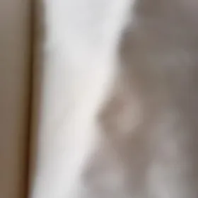 ak jynsy mata kürtelik