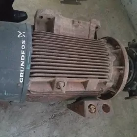 Elektro dwigatel we nasosy