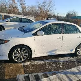 karolla diska pakryska