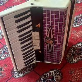 akardiyon raýal isdandart