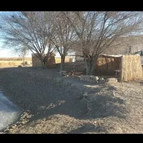 Аренда или продажа.