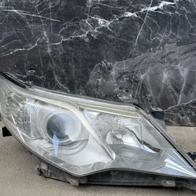 palta camry haliji fara