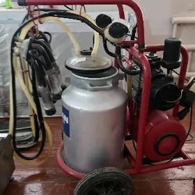 SAGYM APPARAT SATLYK