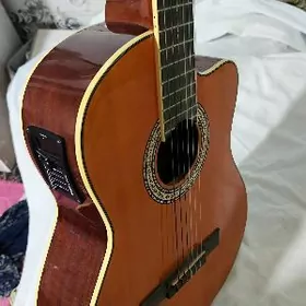 Doremi pol klassik gitara