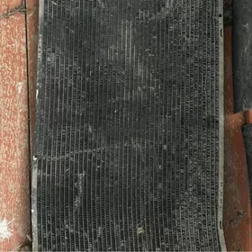 Duty Camry  radiýator