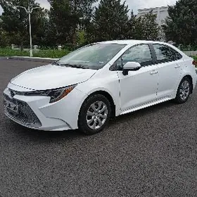Toyota Corolla 2021