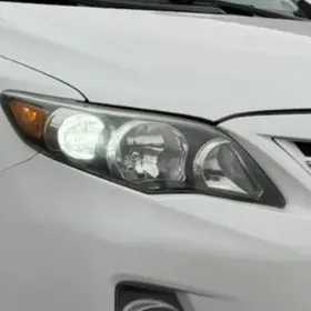 Karolla s klas  cyra