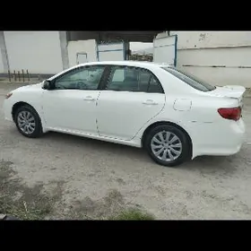 Toyota Corolla 2009