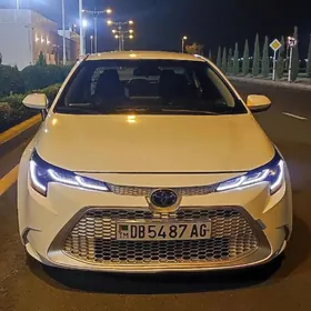 Toyota Corolla 2020