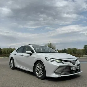 Toyota Camry 2020