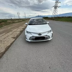 Toyota Corolla 2021