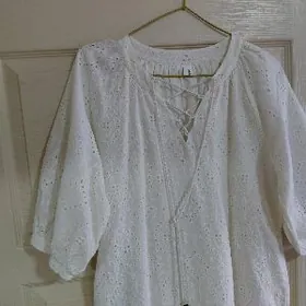 Гатовый койнек.