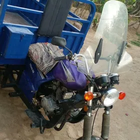 Fekon FK200-14G 2019