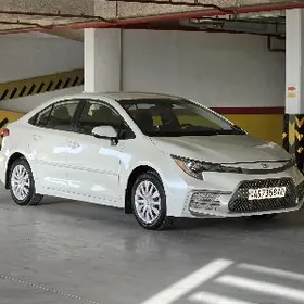 Toyota Corolla 2020