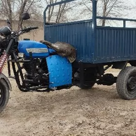 Fekon FK200-14G 2023