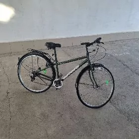 Tigir Ýaponski 28lik