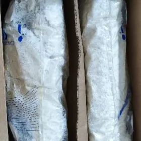 мицелий шампиньонов