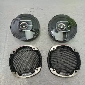 Pioneer pecat nikl 300