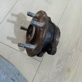 Stupisa korolla 2020