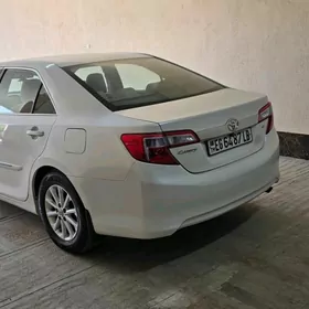 Toyota Camry 2013
