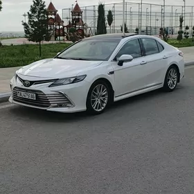 Toyota Camry 2019