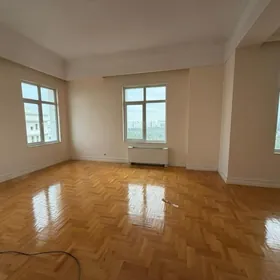 Ленина Шаёлы Элитка