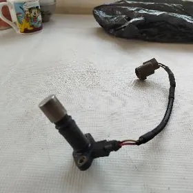 Prado custiwitel wanus datcik