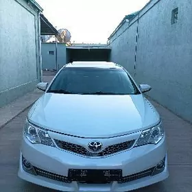 Toyota Camry 2013