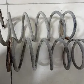 Пуржын передный