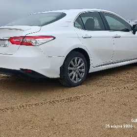 Toyota Camry 2019