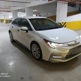 Toyota Corolla 2020