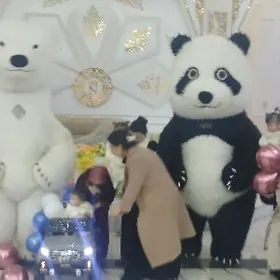 Animator panda Ak aýy