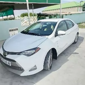 Toyota Corolla 2016