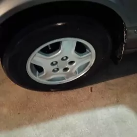 diska 15lik lisicka, babycka