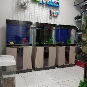 Akwarium Аквариум