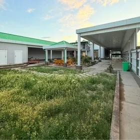 satlyk_Hitrowka grbaýet 4sotak