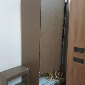 mebel şkaf