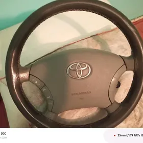 senna priboryanyan pribor