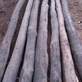 derek agac bar 44stuk