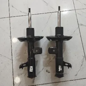 Amartizator Avalon 19.22y