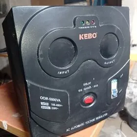 tok sazlayan  kopeltyan