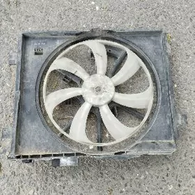 Kansaneriň wiltiýatiri