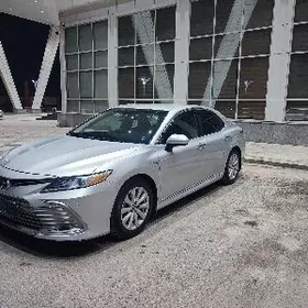 Toyota Camry 2019
