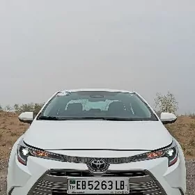 Toyota Corolla 2023