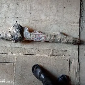 Rulewoy kalonka reyka avalon