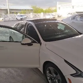 Dasdawka dosdawka surujı wodit