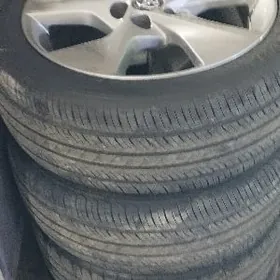 Dysa pakryşka kamplekit