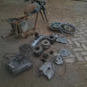 Zapjaslar Rama digiwetil