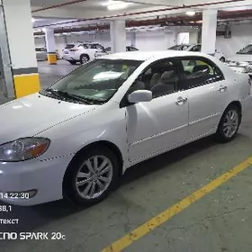 Toyota Corolla 2007
